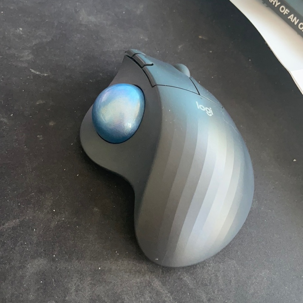 Mouse